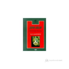 Şeyh Galib Hayatı, Sanatı, Eserleri, Edebi Kişiliği ve Bazı Şiirlerinin Açıklamaları - Haluk İpekten