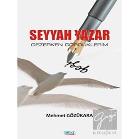 Seyyah Yazar / Gezerken Gördüklerim - Mehmet Gözükara