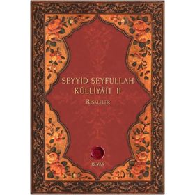 Seyyid Seyfullah Külliyatı 2 - Seyyid Nizamoğlu