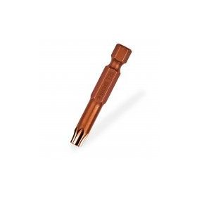 SGS 100 mm T30 Torks Bits Ucu