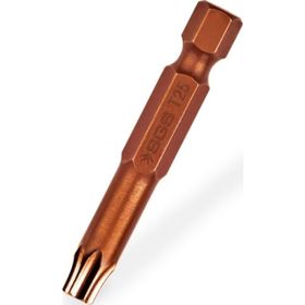 SGS 100 mm T30 Torks Bits Ucu
