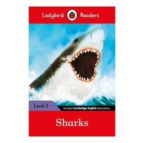 Sharks – Readers Level 3 -Ladybird