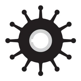 Sherwood 10077K Impeller Lastiği