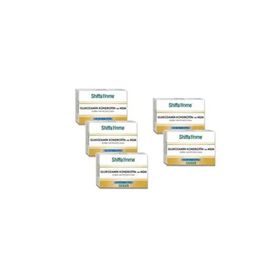 Shiffa Home Glukozamin Kondroitin MSM 5x60 Tablet