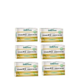 Shiffa Home Vitamin B12 Ginkgo Biloba 6x28 Tablet