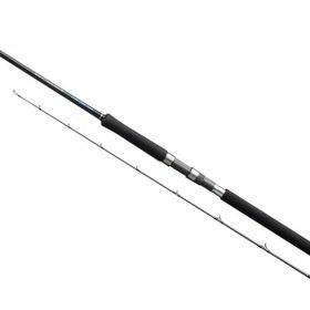 Shimano Alty Advance Spinning 3.05 m 60 gr Jig Olta Kamışı