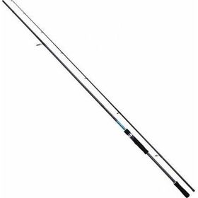 Shimano Bassterra 2023 XT Sea Bass 2.44 4-21 gr Spin Olta Kamışı