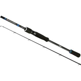 Shimano Bassterra Sea Bass 2.74M 7-30G 2Pc Spin Kamışı
