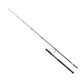 Shimano Grappler Type C 25 249 cm Max 100 gr Jig Kamış