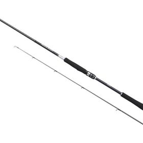 Shimano Moonshot Spinning Inshore 290 cm Olta Kamışı