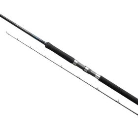 Shimano Salty Advance Spinning 3.05 m 60 gr Jig Olta Kamışı