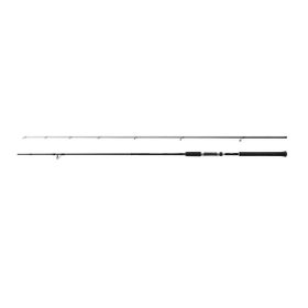 Shimano Salty Advance Spinning Sea Bass 2.74 m 6-32 gr 2 Parça Olta Kamışı