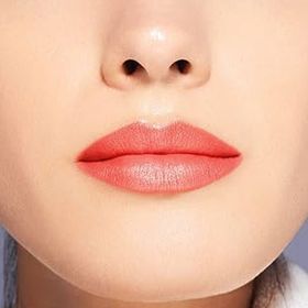 Shiseido SMK Vision Airy Gel 217 Lipstick Ruj