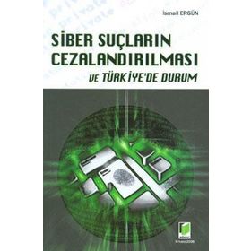 SIBER SUÇLARIN CEZALANDIRILMASI VE TÜRKİYE'DE DURUM - İSMAİL ERGÜN