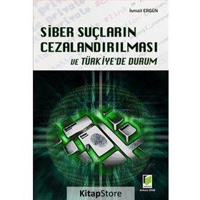 SIBER SUÇLARIN CEZALANDIRILMASI VE TÜRKİYE'DE DURUM - İSMAİL ERGÜN
