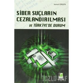 SIBER SUÇLARIN CEZALANDIRILMASI VE TÜRKİYE'DE DURUM - İSMAİL ERGÜN