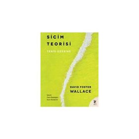 Sicim Teorisi - David Foster Wallace