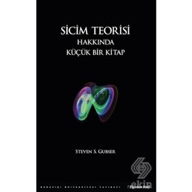 Sicim Teorisi Hakkında Küçük Bir Kitap - Steven S. Gubser