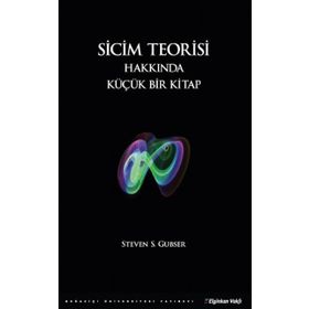Sicim Teorisi Hakkında Küçük Bir Kitap - Steven S. Gubser