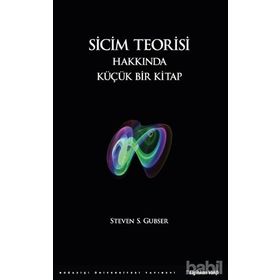Sicim Teorisi Hakkında Küçük Bir Kitap - Steven S. Gubser