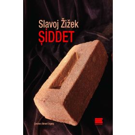 Şiddet - Slavoj Zizek
