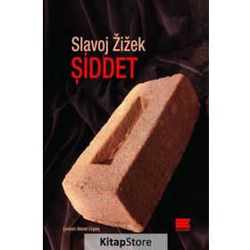 Şiddet - Slavoj Zizek