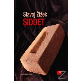 Şiddet - Slavoj Zizek