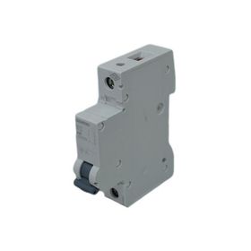 Siemens 1X40A 6KA Otomatik Sigorta