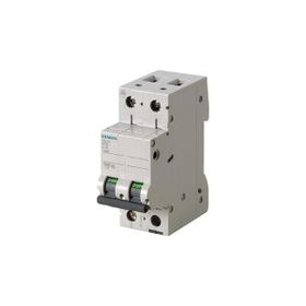 Siemens 5SL4202-7 10kA 2A 2 Fazlı C Tipi Yavaş Karakterli Otomat Anahtarlı Otomatik Sigorta