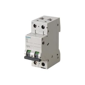 Siemens 5SL4206-7 6 Amper 2 Kutup 6 KA C Eğrisi Otomatik Sigorta