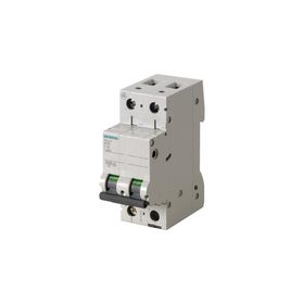 Siemens 5SL4220-7 10kA 20A 2 Fazlı C Tipi Yavaş Karakterli Otomat Anahtarlı Otomatik Sigorta