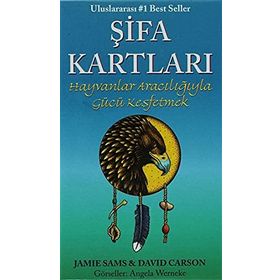 ŞIFA KARTLARI - DAVID CARSON;JAMIE SAMS