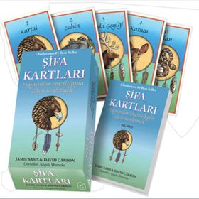 ŞIFA KARTLARI - DAVID CARSON;JAMIE SAMS