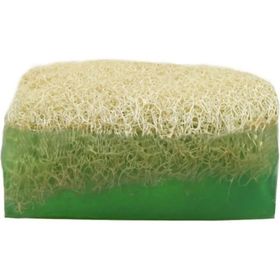 Şifaver 125 gr Kabak Lifli Aloe Vera Sabunu