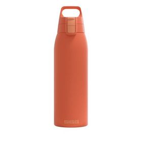 Sigg 6021.80 Therm One Tarçın 1 lt Termos