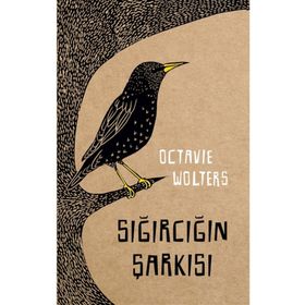 Sığırcığın Şarkısı Meav Yayıncılık