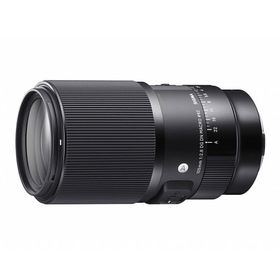 Sigma 105 mm F2.8 DG DN Macro Art Sony E Lens