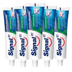 Signal Çürüklere Karşı Nane Ferahlığı Koruma 5x100 ml Diş Macunu