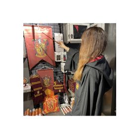 Sihir Dükkanı Gryffindor El Flaması