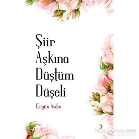 Şiir Aşkına Düştüm Düşeli - Ergün Aydın