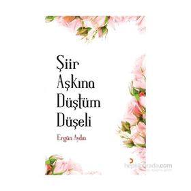 Şiir Aşkına Düştüm Düşeli - Ergün Aydın
