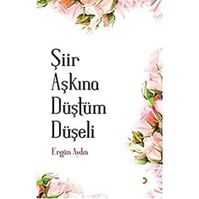 Şiir Aşkına Düştüm Düşeli - Ergün Aydın