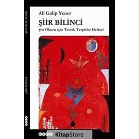 Şiir Bilinci - ali galip fer
