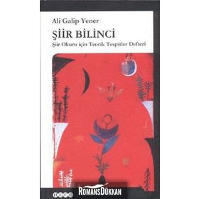 Şiir Bilinci - ali galip fer