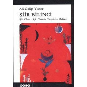 Şiir Bilinci - ali galip fer