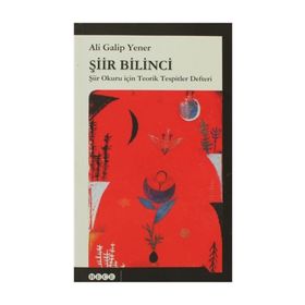 Şiir Bilinci - ali galip fer
