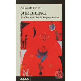 Şiir Bilinci - ali galip fer