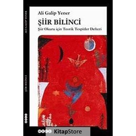 Şiir Bilinci - ali galip fer