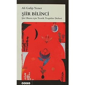 Şiir Bilinci - ali galip fer