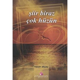ŞİİR BIRAZ ÇOK HÜZÜN - HASAN AKÇAY